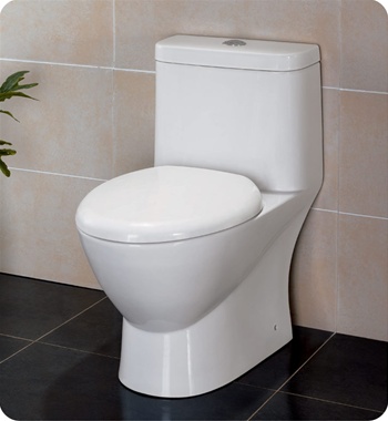 Fresca Serena One Piece Dual Flush Toilet with Soft Close Seat